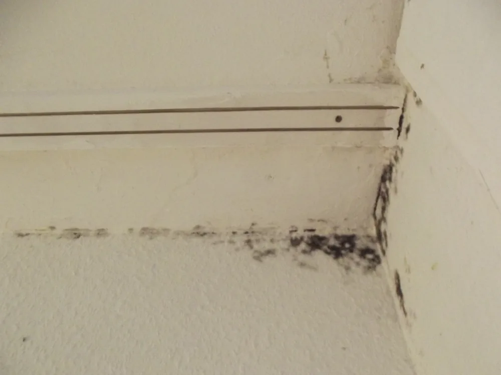 Technician in protective gear removing a mold-damaged wall in a West Boylston home